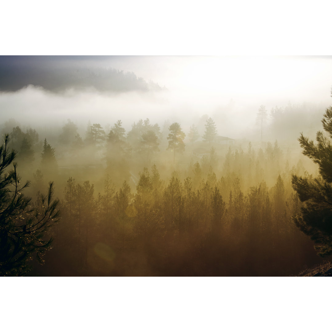 Neblige Landschaft von Barcin - Kunstdrucke auf Leinwand