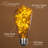 25 Watt Equivalent ST64 LED, Non-Dimmable Light Bulb E26/Medium (Standard) Base