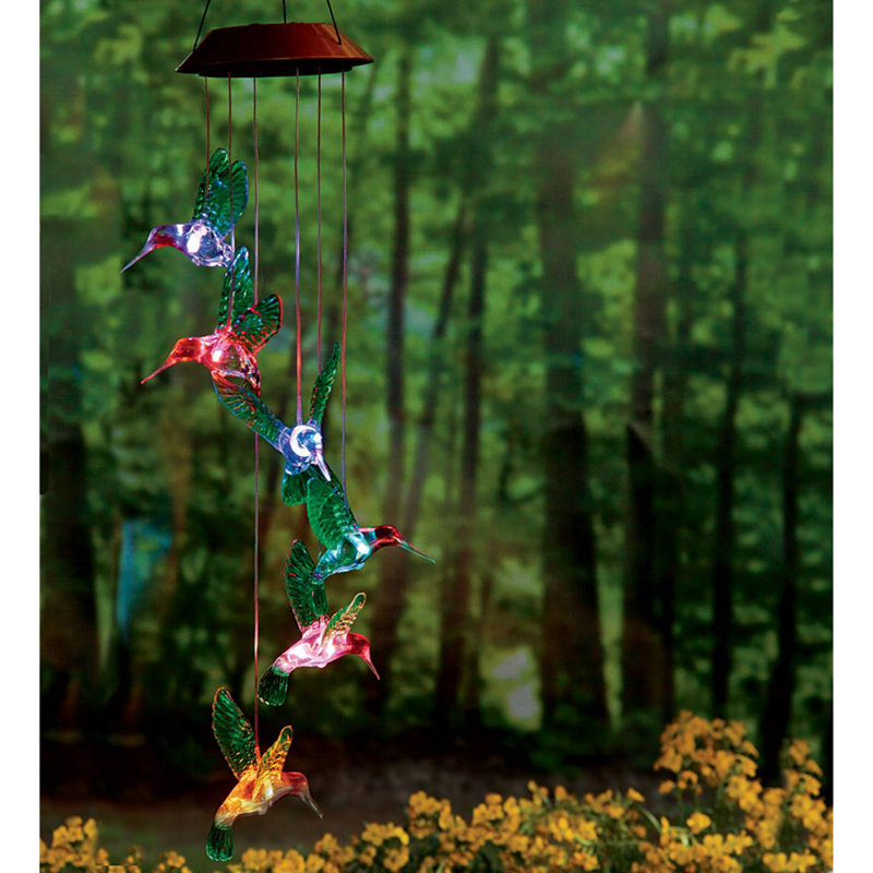 Carillon Latrevia Six Hummingbird