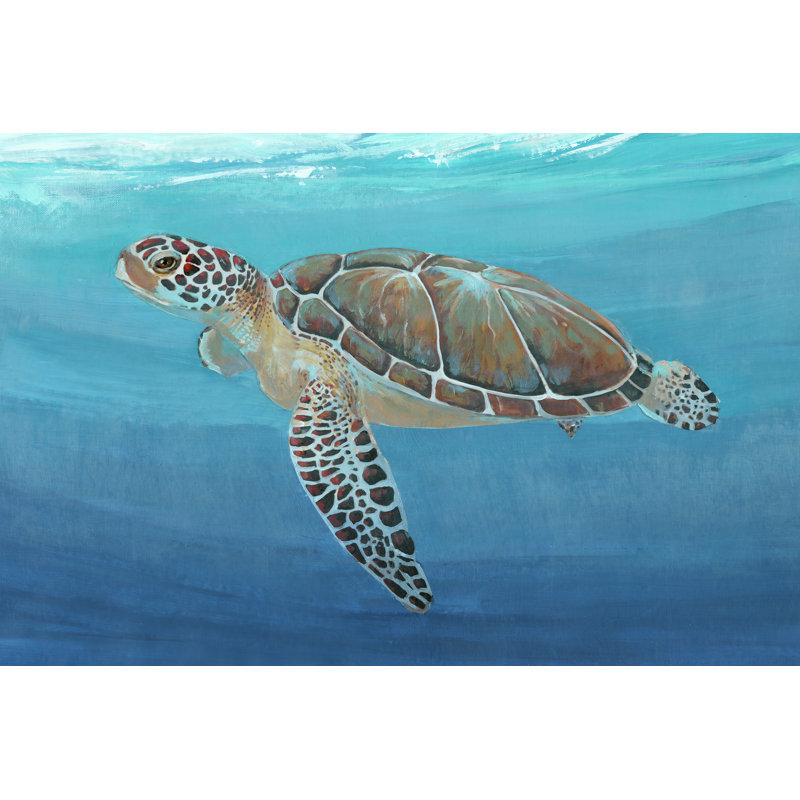 «Ocean Sea Turtle II», impression sur toile tendue, H 32 po x l 48 po x P 1,25 po