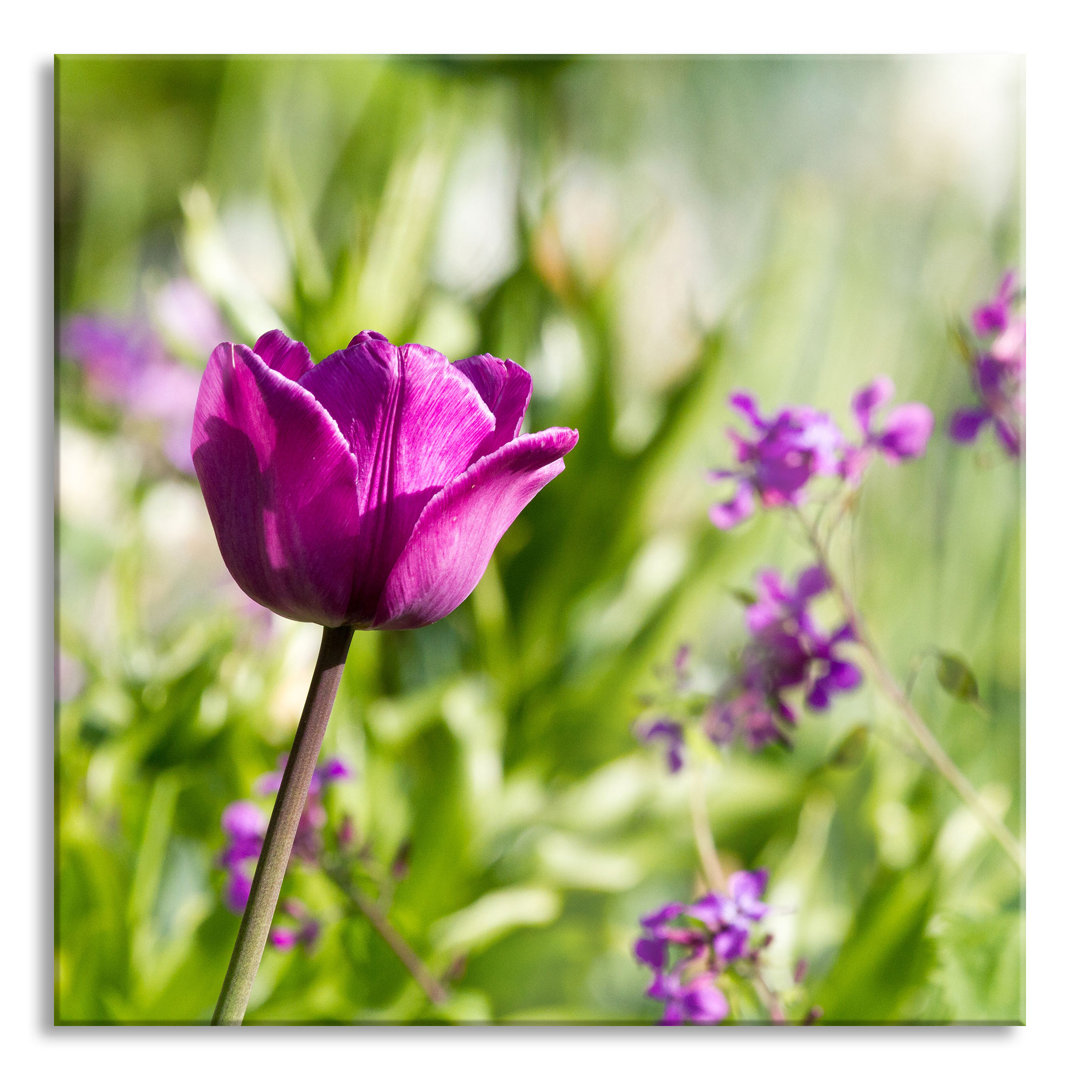 Glasbild Blumen im Sonnenschein