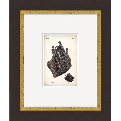 Geos 15 Print by Soicher Marin Archives