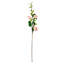 Sophia Roses Floral Arrangement