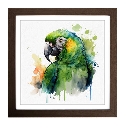 Parrot Watercolour - Framed Print