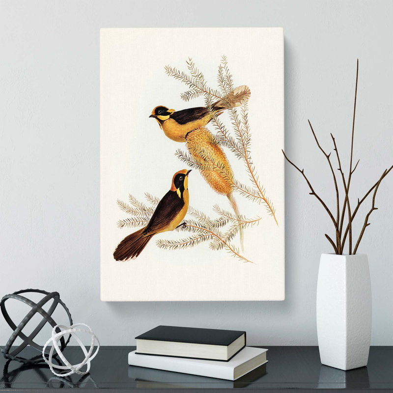 Helmeted Honeyeater by Elizabeth Gould - Wrapped Canvas, 50cm H x 35cm W x 3cm D