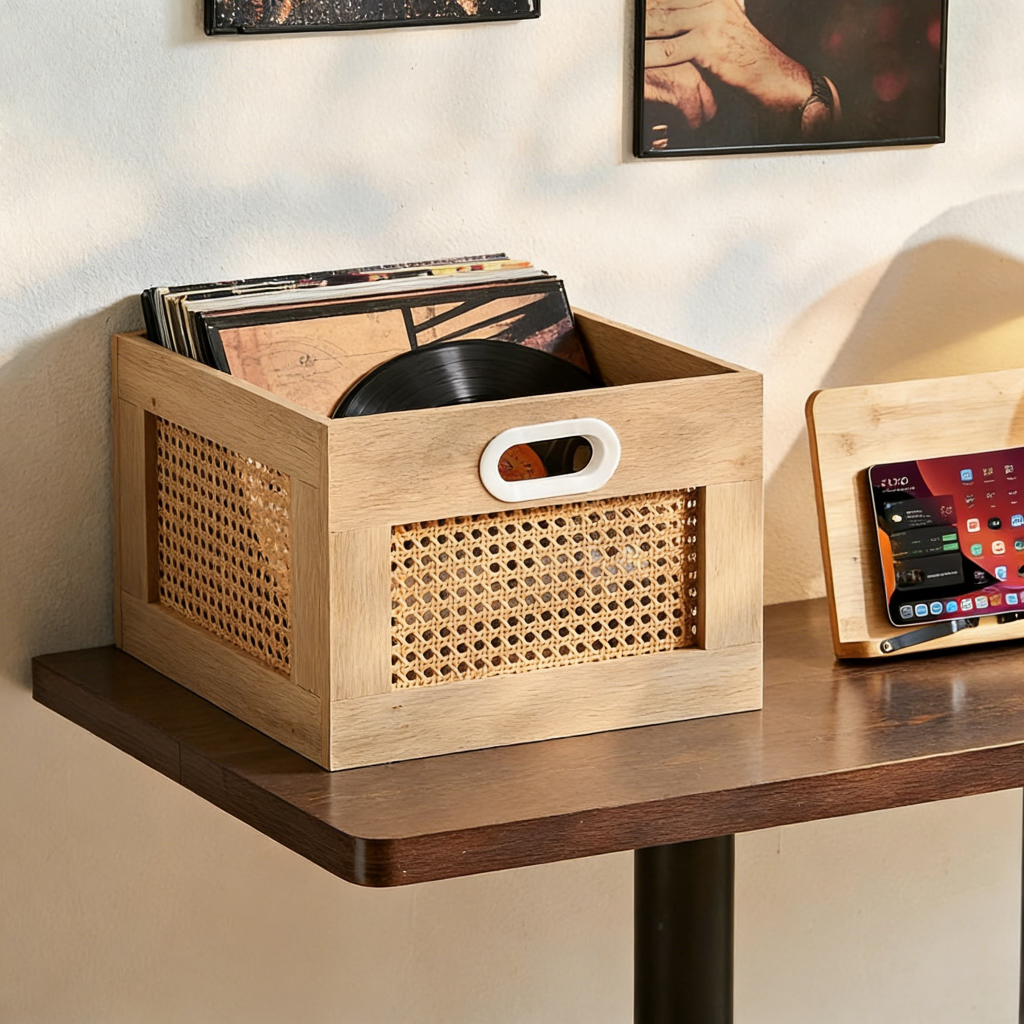 17 Stories Rattan Vinyl Record Storage Crate with Handle, Holds 75 LPs ...