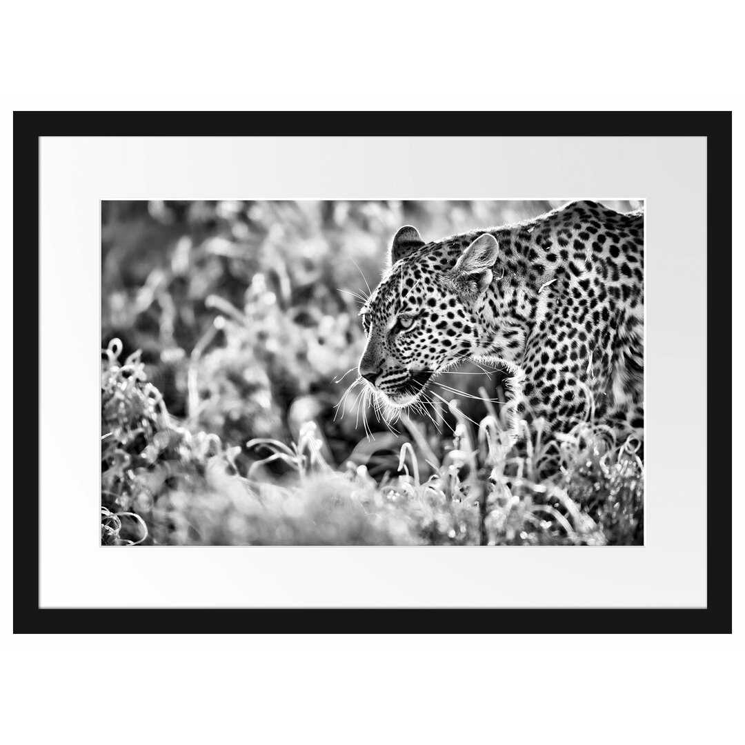 Gerahmtes Poster Jagender Leopard