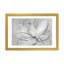 Transparent Transparent III - noir et blanc-2023587195-2023587168
