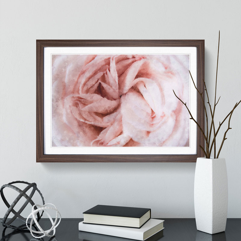 Petals of a Pink Carnation - Picture Frame Graphic Art Print, 33cm H x 45cm W x 2cm D, Walnut