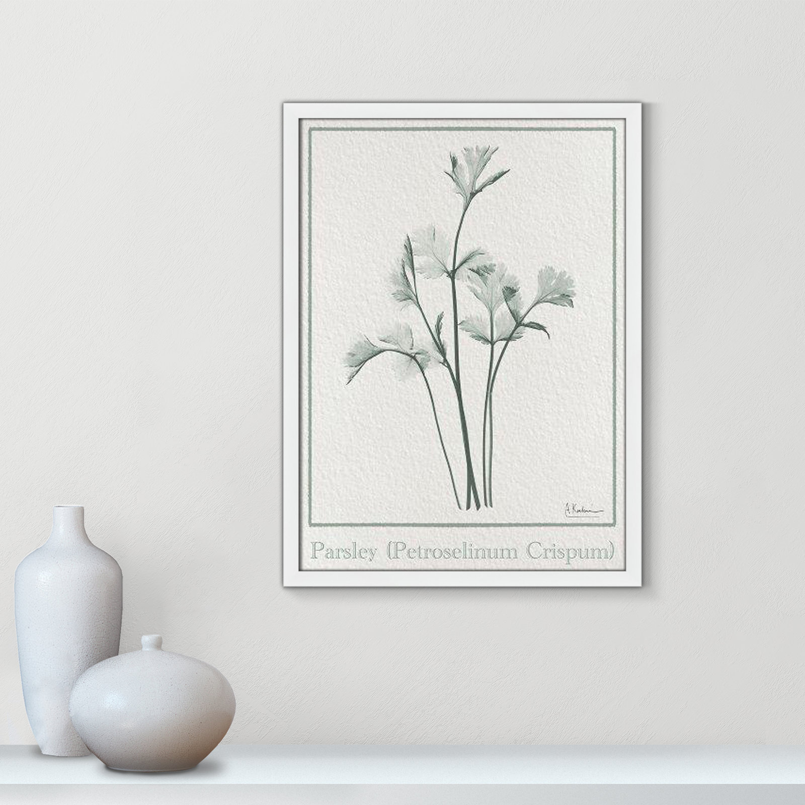 Jeanette "Parsley II" Print by Albert Koetsier, 23" H x 17" W x 1.25" D, Satin White Framed Paper