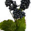Plastic, Silk Grape Leaf Arrangement