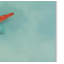«Ocean Treasures» de Vidur, impression sur toile tendue-22069871