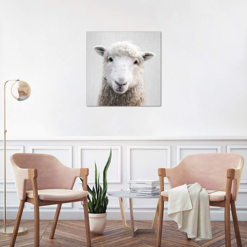Sheep - Wrapped Canvas Print, 66.04 cm H x 66.04 cm W x 3.175 cm D