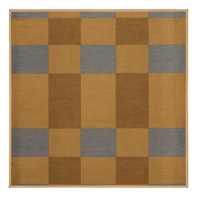 Machine Washable Checkered Brown Area Rug