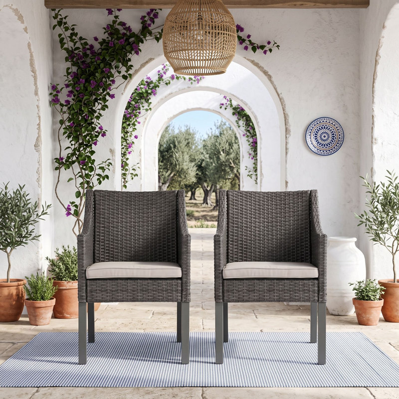 Ensemble de 2 chaises d'extérieur en osier