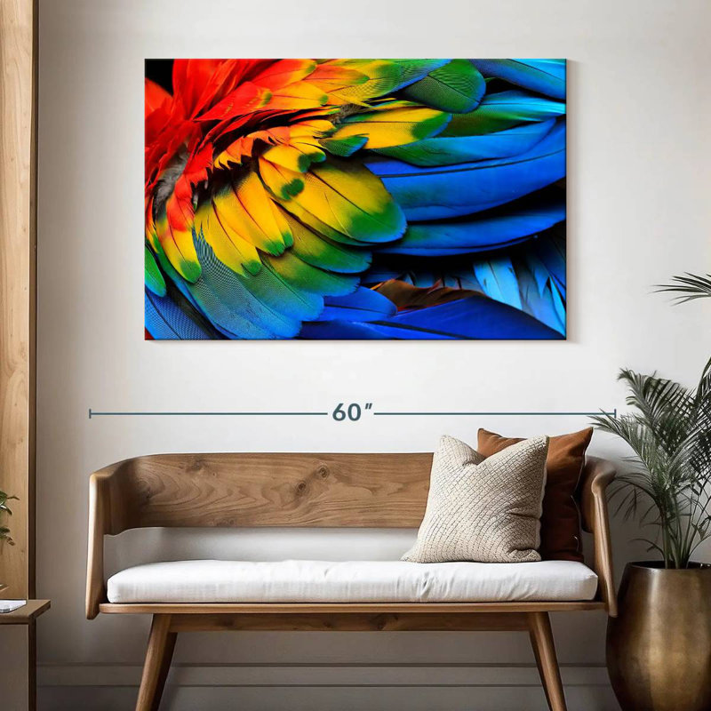 Brampt Macaw Bird Feathers