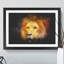 Lion Vol.4 - Picture Frame Graphic Art-62802645-62802651