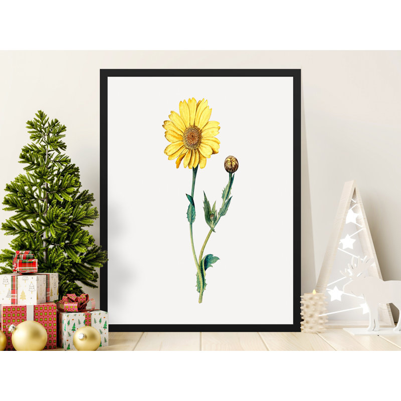 Subani Single Picture Frame Print, 27.94 cm H x 22.86 cm W