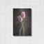 «Spring Tulips V» par Debra Van Swearingen-1634549749