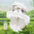 Ailanny 1690oz. Food Storage Container