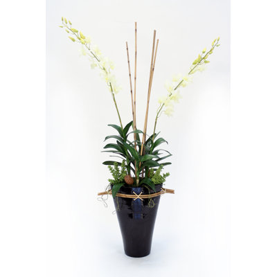 43'' Faux Orchid Plant in Earthenware Vase