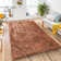 Non-Slip Soft & Fluffy Shaggy Area Rug