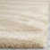 Chantaye Ivory/Beige Area Rug