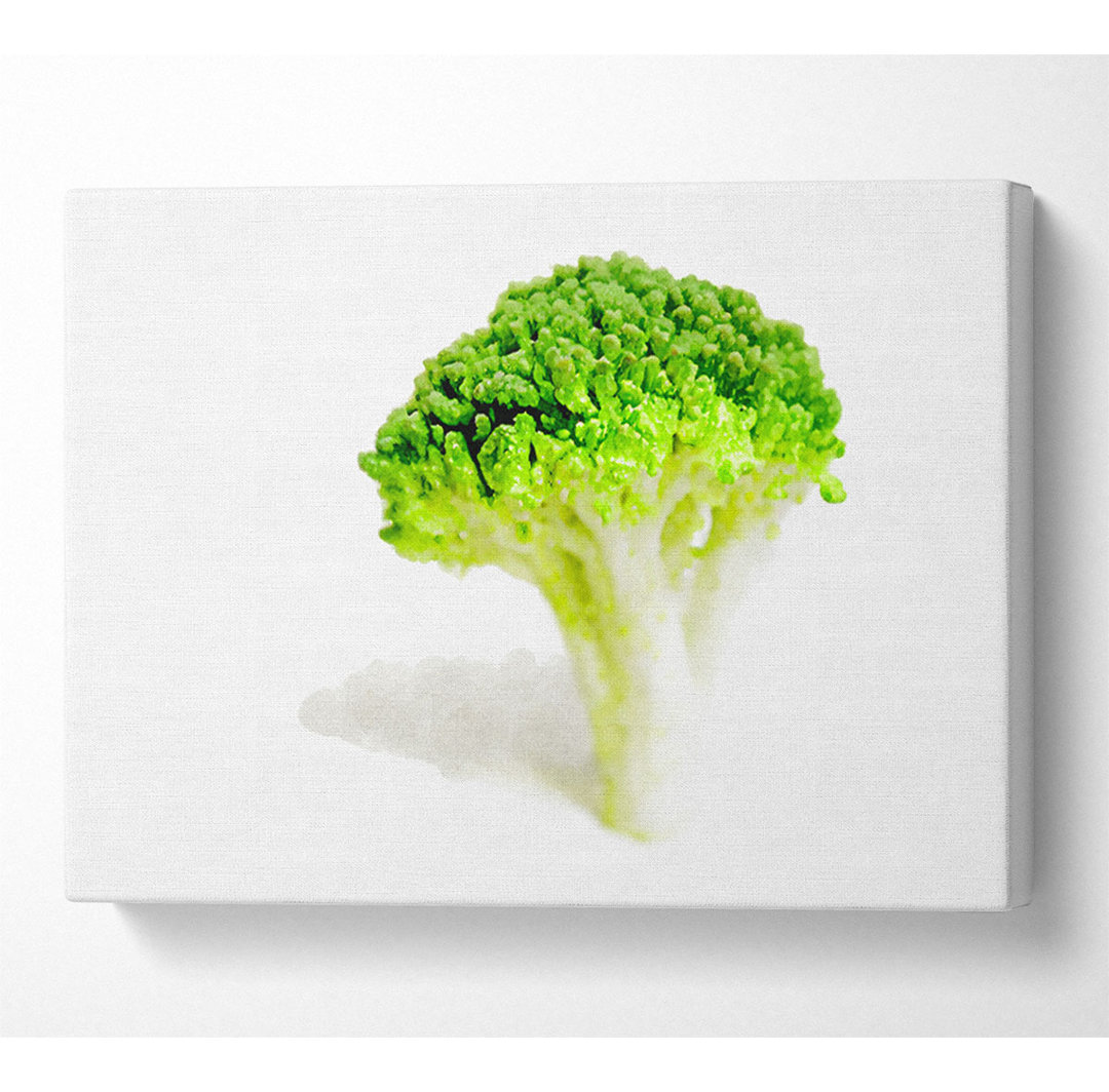 Brocolli Stängel - Druck