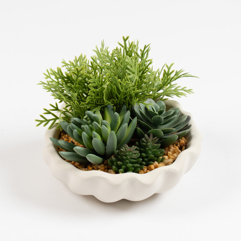 11cm Faux Succulent Garden Shell