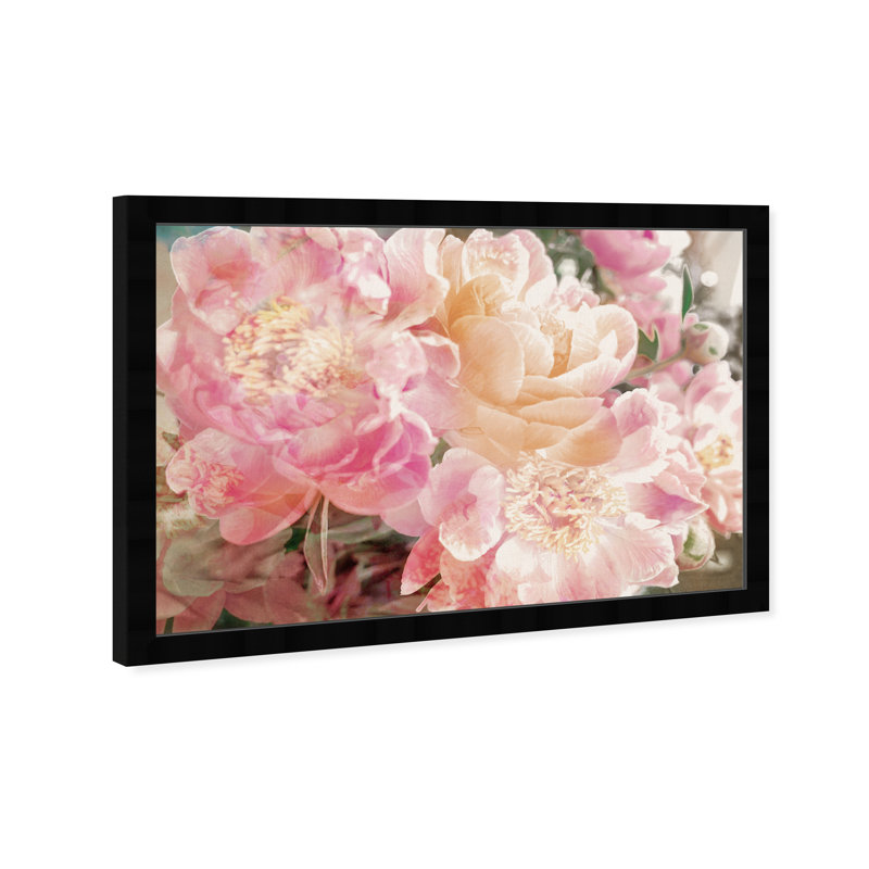 Fleurs roses, pivoines, impression sur papier, Cadre noir, H 12 po x l 17 po