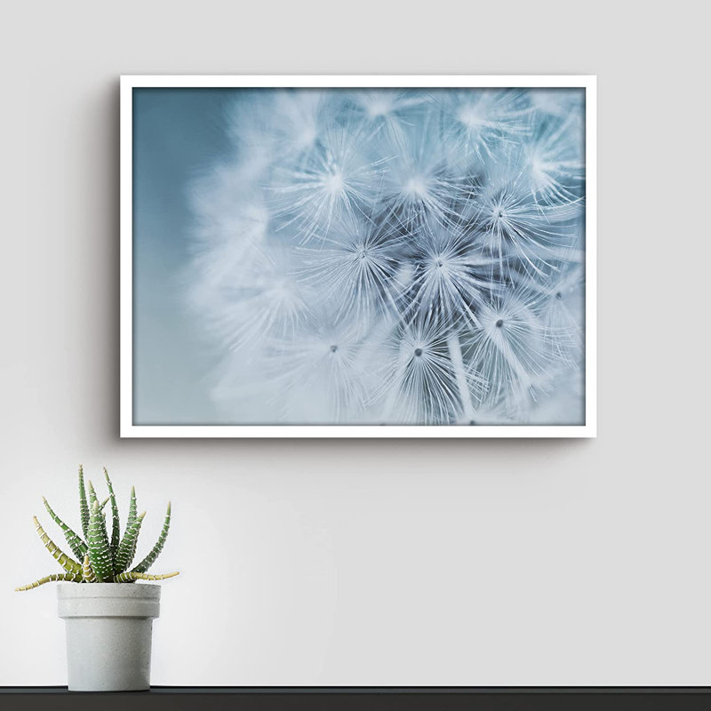 Détaillé, pissenlit blanc Bokeh - cadre photo, Blanc