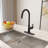 CASAINC Single-Handle Pull-Down Kitchen Faucet Single Hole Faucet with Deck Plate-93753022