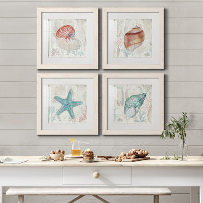 Corail et coquille I - ensemble de 4 reproductions d'art sur toile encadrées