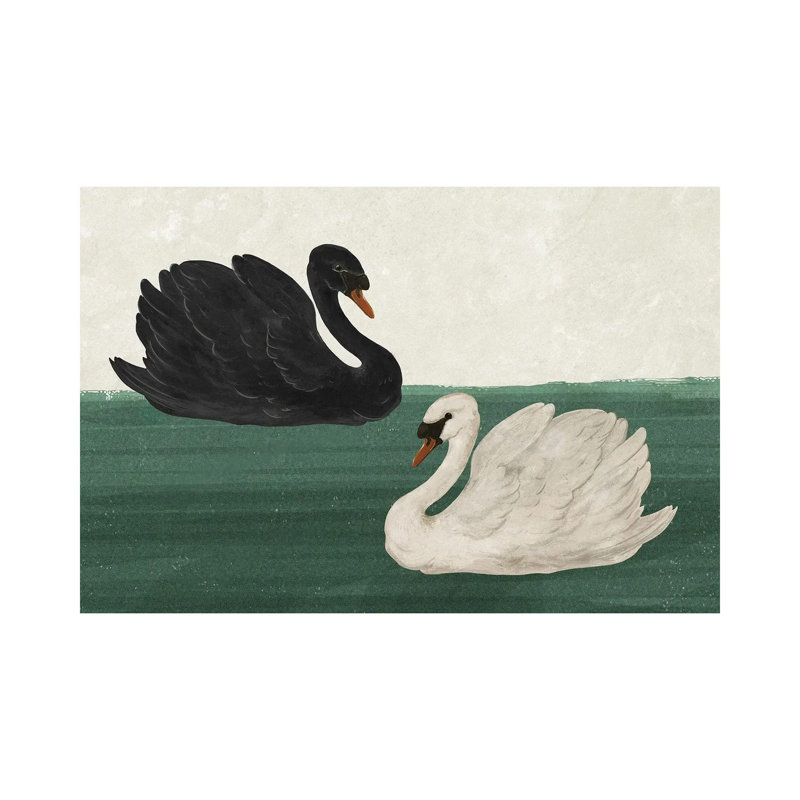 Cygne noir cygne blanc, H 12 po x l 18 po, Sans cadre, toile