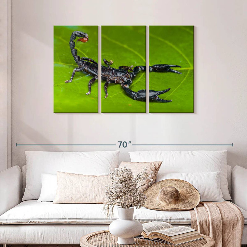 Scorpion de forêt, H 20 po x l 33 po