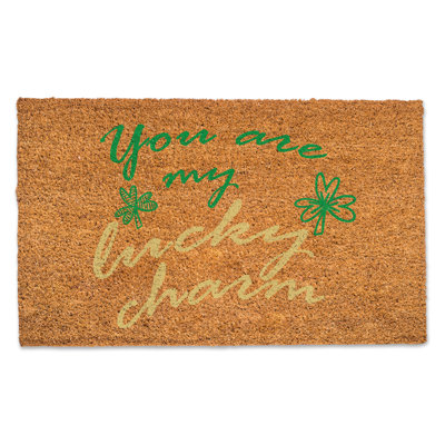 Tapis de porte d'extérieur 30 po x 0,75 po