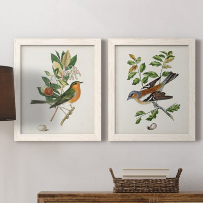 Oiseau antique, botanique et œuf sur toile encadrée, prêt à accrocher