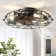 20" Low Profile Caged Flush Mount Ceiling Fan With Light Kit and Remote Control, 6-Speed Reversible