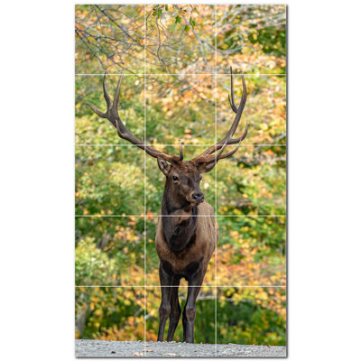 Deer Photo 4.25'' x 4.25'' Satin Ceramic Decorative Mural