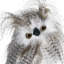 Hibou zébré debout