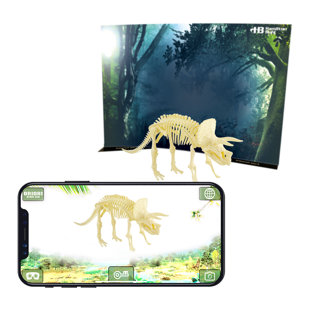 Trousse de fouille Hamiltonale Paleo Hunter Hamilton - Triceratops Rex
