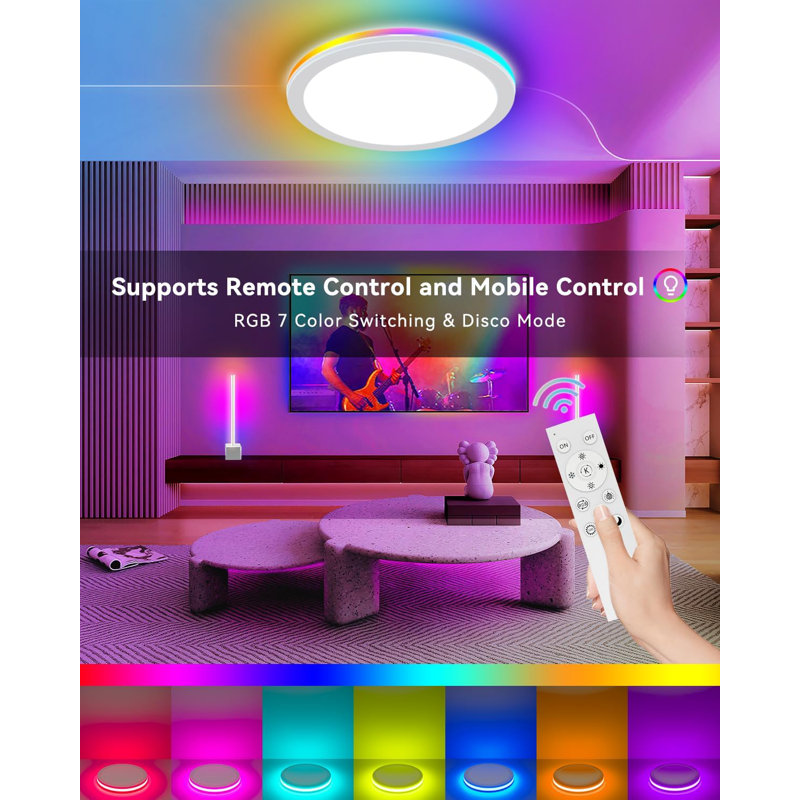 12Inch Smart Ceiling Light,24W 2400LM LED Flush Mount Ceiling Light With Remote,RGB Mode,3000K-6500K,10%-100% Dimmable,Smart APP Control,LED Light Fixture For Bedroom/Kitchen