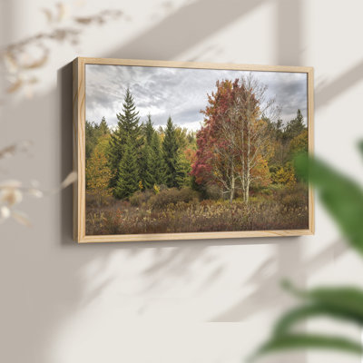 Variété Woodland - reproduction encadrée - réversible