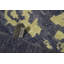 Oriental Area Rug