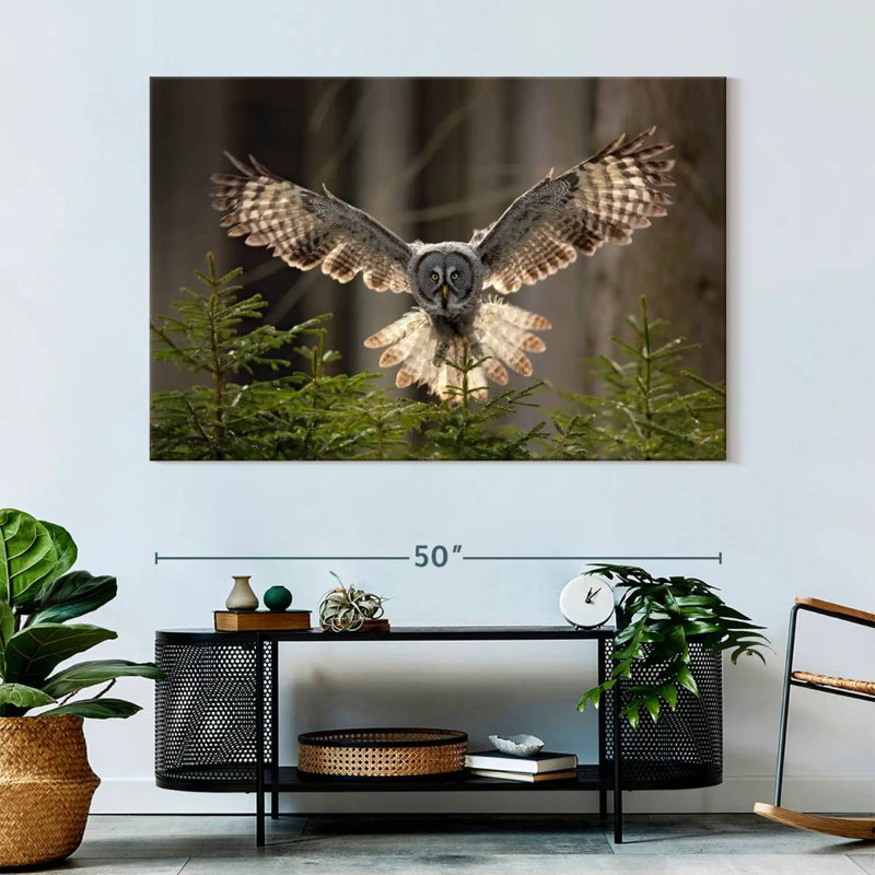 Flying Owl, reproduction sur toile, H 51 po x l 34 po x P 1,25 po