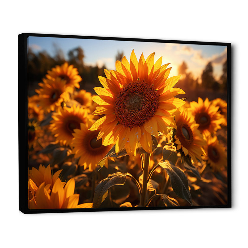 Tournesols orange et tournesols éclairés II, H 30 po x l 40 po x P 1,5 po, Cadre flottant noir