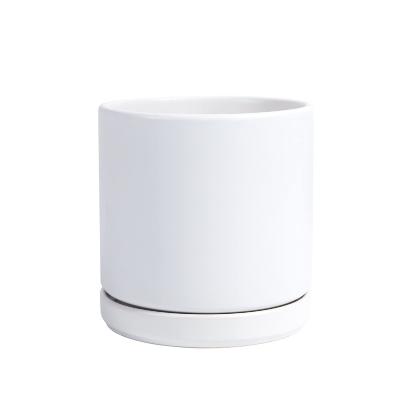 Ceramic Planter Pot with Drainage Hole and Saucer, 6'' H x 6'' W x 6'' D, White