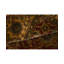 Avalon Wool Oriental Area Rug