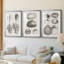 Charbon et coquilles de lin VII-530802097-530802102