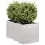 Metal Planter Box-1032581152-1032581150
